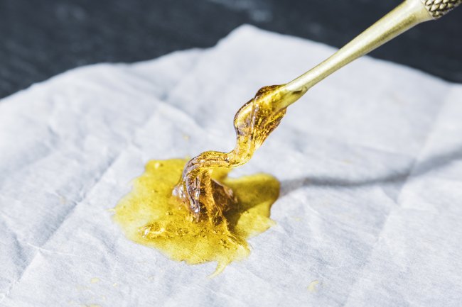 Gold cannabis concentrate substance being scooped up with metal tool