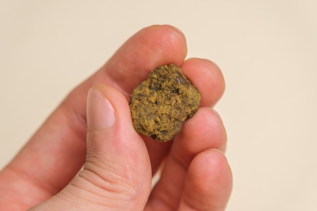 a manâs hand holds up a chunk of densely pressed cannabis hash