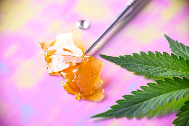Image of golden yellow cannabis concentrate on the end of a silver dab tool, next to a green cannabis leaf, on a pink background