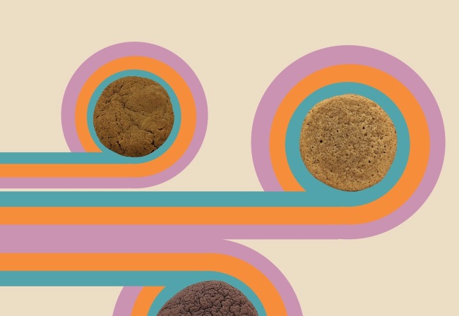 Three cookies in different shades of brown on top of a retro graphic background.
