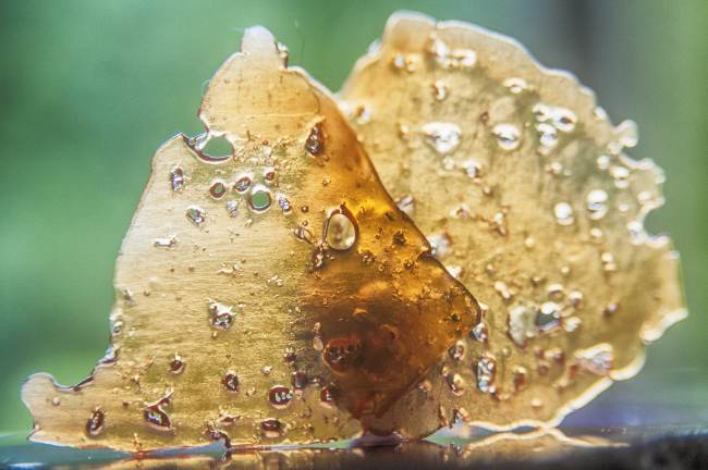 thin pieces of shatter concentrate with holes in it, against a green background