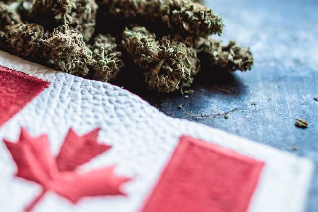 cannabis nugs next to a small Canadian flag