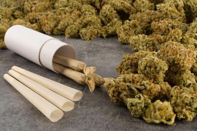 3 pre-rolled joints among dozens of cannabis nugs