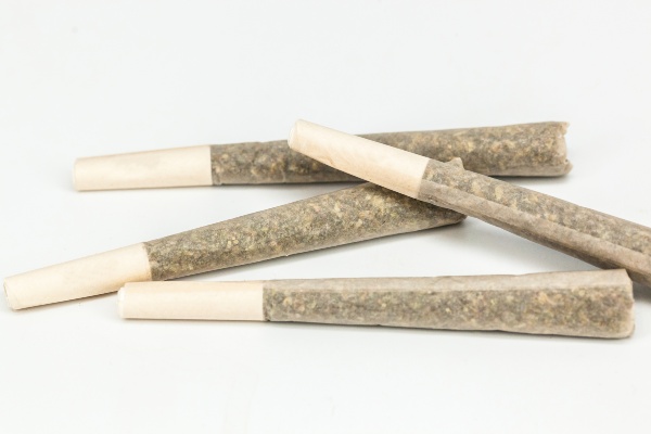 Four joints rolled with white filter tips that are lying on a white surface