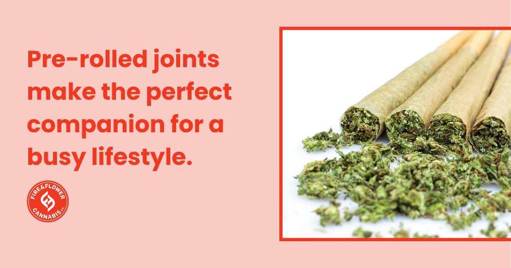 Pre-rolls are a convenient way to smoke weed when you have a busy lifestyle.