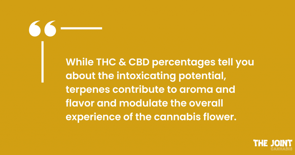 Block quote: Explaining how terpenes contribute to aroma and flavor.
