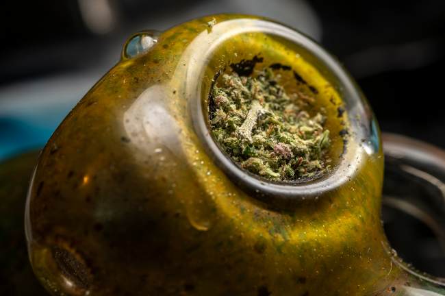 a green cannabis pipe filled with ground green cannabis